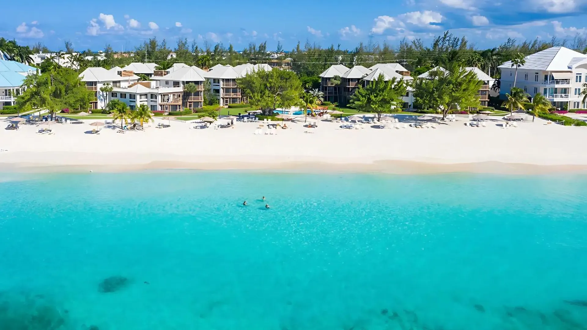 Lägenhet 3Bed Oceanview With Pool On Dog City Caymanöarna
